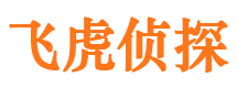 施甸市侦探公司